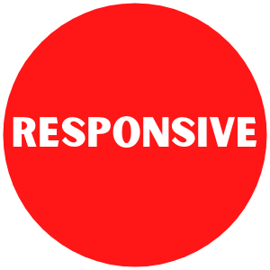 responsive website